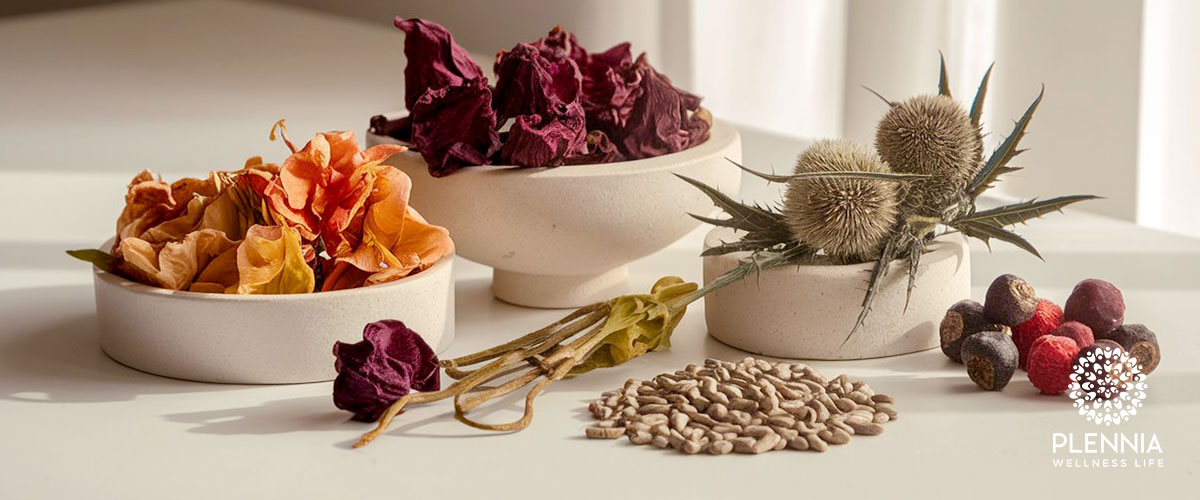 Plennia EPURE-CAPS Ingredientes