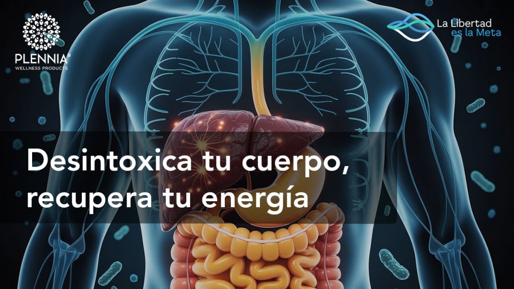 Desintoxica tu cuerpo, recupera tu energía