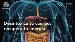 Desintoxica tu cuerpo, recupera tu energía